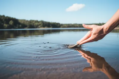 Illustration scud - Image 1