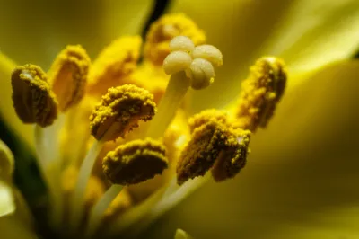 Illustration stamina - Image 1