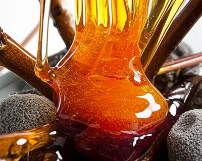 Illustration candies - Image 1