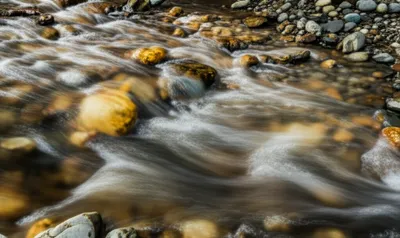 Illustration p - Image 1