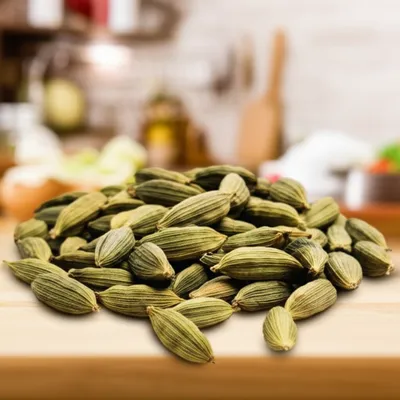 Illustration fennel - Image 1