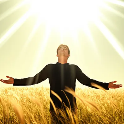 Illustration seeking - Image 1