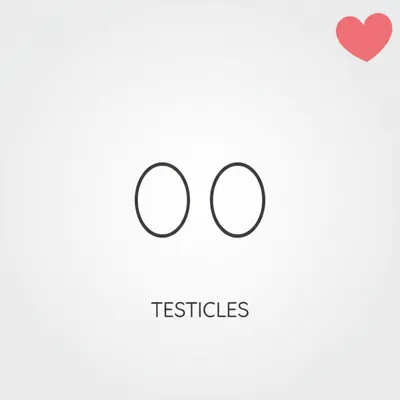 Illustration balls - Image 1