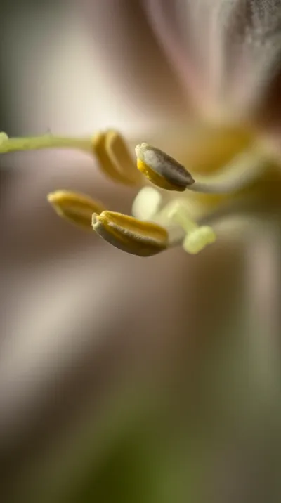 Illustration incumbent - Image 1