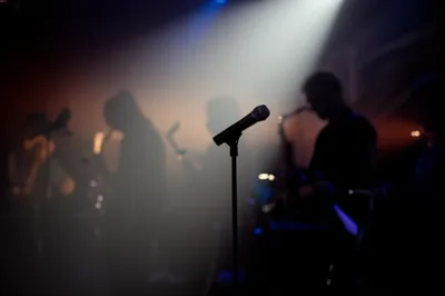 Illustration features - Image 1