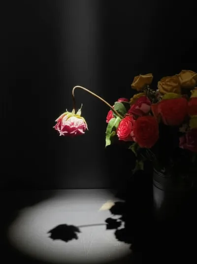 Illustration embarrassments - Image 1