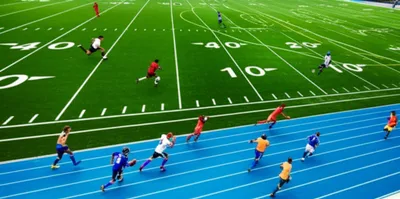 Illustration fields - Image 1