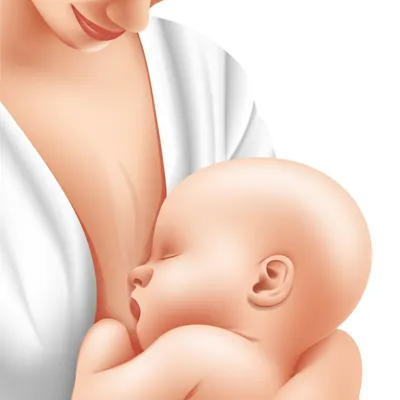 Illustration breastfeeds