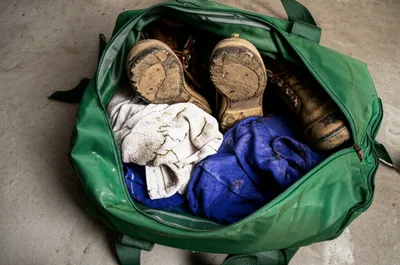 Illustration soils - Image 1