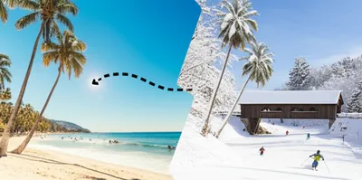 Illustration foreign - Image 1