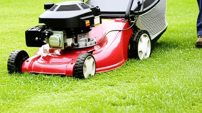 Illustration mow - Image 1