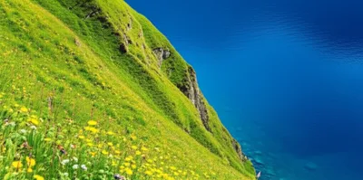 Illustration shelving - Image 1