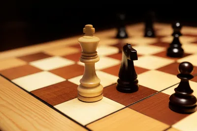 Illustration sack - Image 1