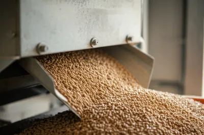 Illustration scalped - Image 1