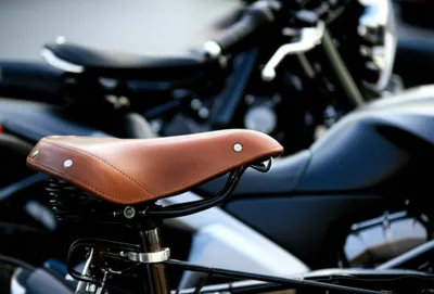 Illustration saddles - Image 1