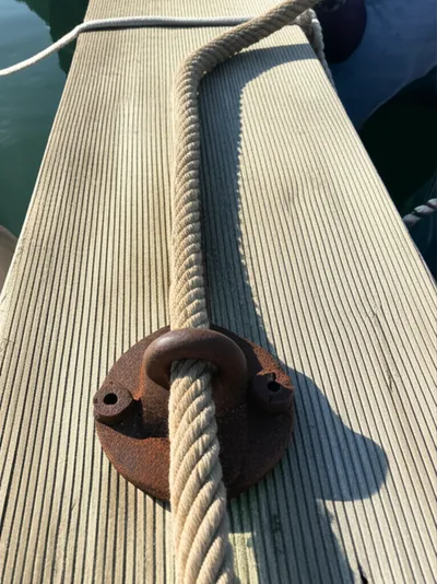 Illustration rove - Image 1