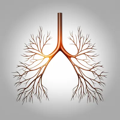 Illustration breathing - Image 1