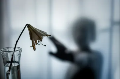 Illustration losses - Image 1