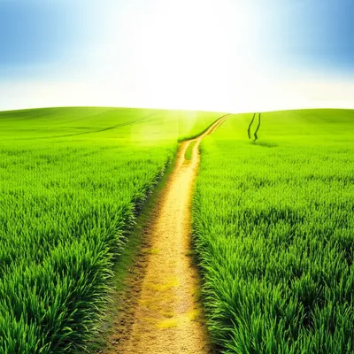 Illustration onward - Image 1