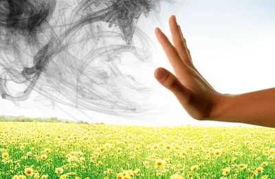 Illustration averted - Image 1