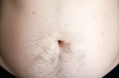 Illustration fur - Image 1