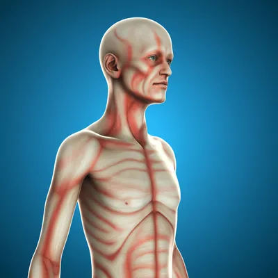 Illustration spare - Image 1