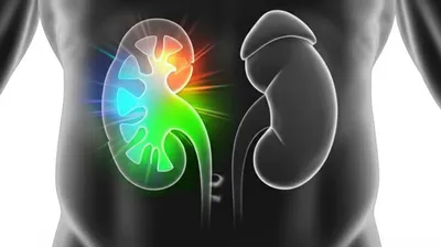 Illustration enhanced - Image 1