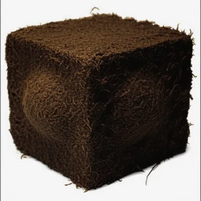 Illustration mumps - Image 1