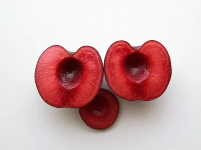 Illustration pitted - Image 1