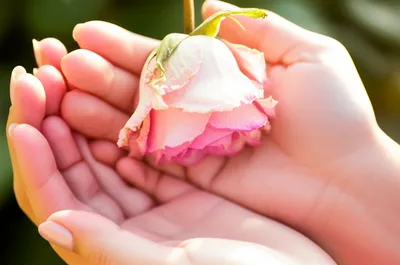 Illustration relieve - Image 1