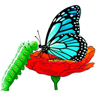 Illustration converting - Image 1