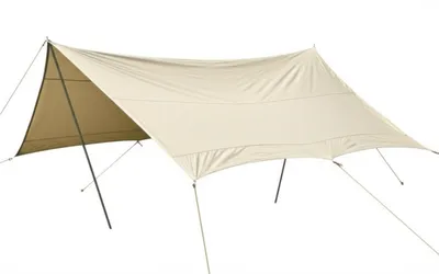 Illustration wing - Image 1