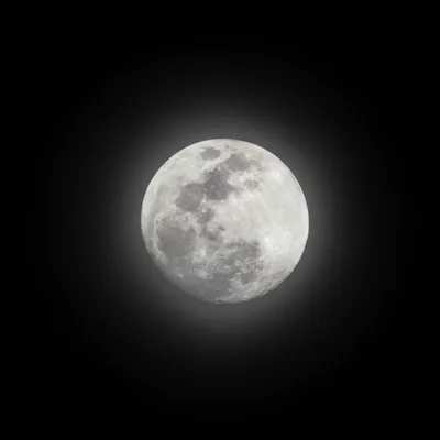 Illustration full - Image 1