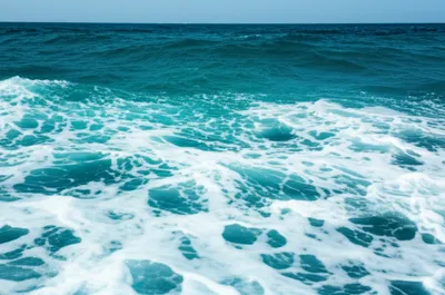 Illustration foam - Image 1