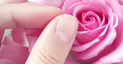 Illustration sensibility