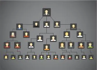 Illustration lineage - Image 2