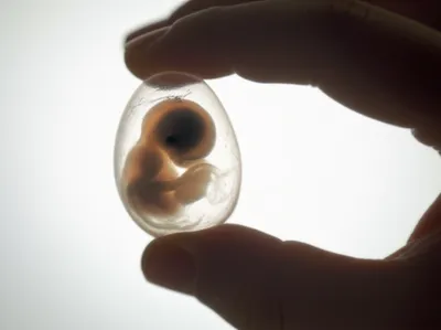 Illustration candle - Image 1