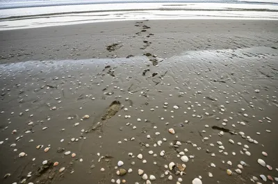 Illustration recedes - Image 1