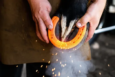 Illustration fit - Image 1