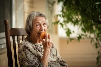 Illustration gum - Image 1