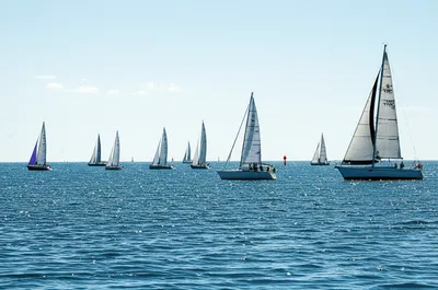 Illustration overreach - Image 1