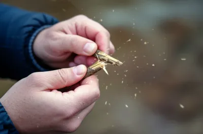 Illustration snapping - Image 1