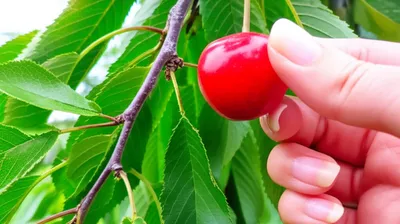 Illustration takes - Image 1