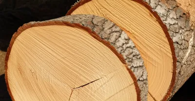 Illustration slab - Image 1