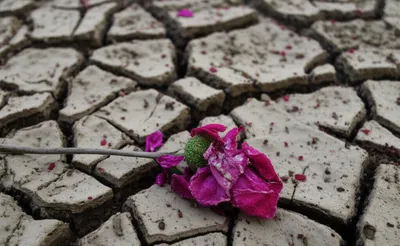 Illustration bottomed - Image 1