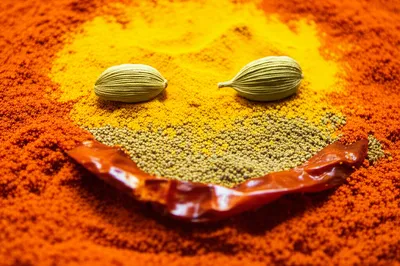 Illustration spices - Image 1