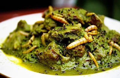 Illustration fouler - Image 1