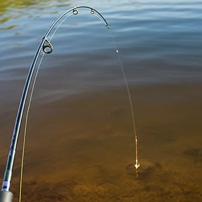 Illustration ledgers - Image 1