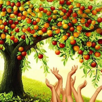 Illustration affords - Image 1