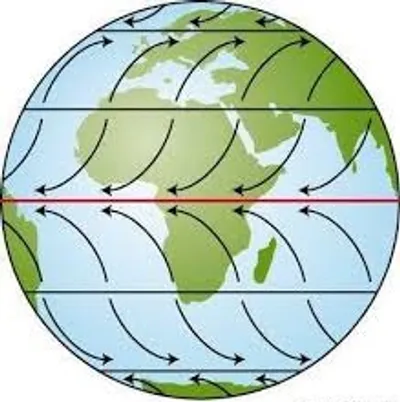 Illustration trade - Image 2